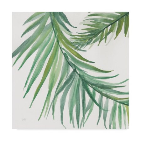 Trademark Fine Art Chris Paschke 'Ferns Square Iv' Canvas Art, 24x24 WAP05704-C2424GG